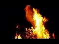 Wu Lyf - Go Tell Fire (unofficial video) 
