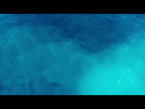 TNK Musiq & Eltonk - Tango Ring (feat DBN Gogo)