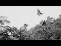 Undana Kayam Yaavum Thannale Aarippona Maayam Enna Ponmane Ponmane Kanmani Anbodu Kadhalan Status