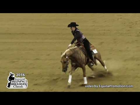 Tinseltown Tuffy ridden by Molly Mitchell  - 2016 NRBC (NP Derby)