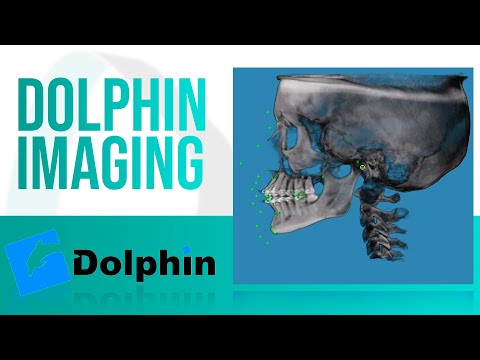 Dolphin Imaging