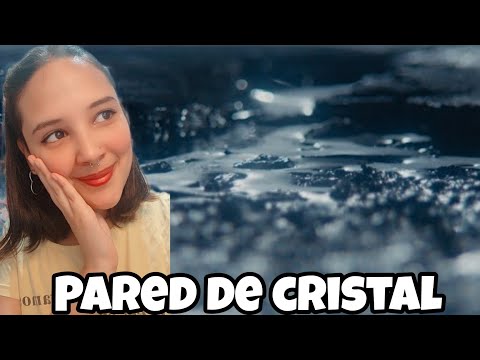 Wos - Pared de cristal [REACCIÓN]