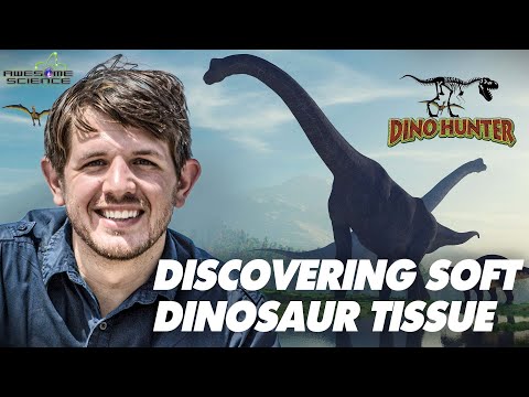 Discovering Dinosaur Soft Tissue | Dino Hunter