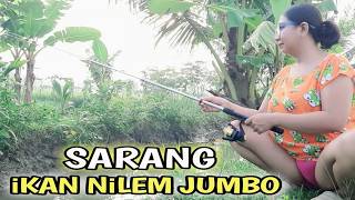 Download lagu Mancing ikan di sungai kampung pedesaan pemandangan ya indah udara ya sejuk mp3