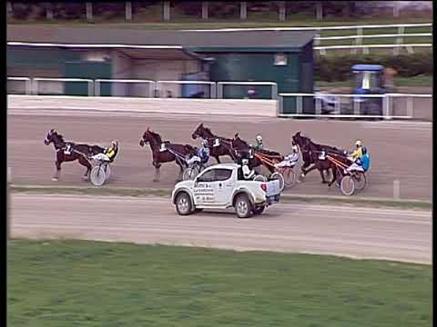 Trotto 22/11/2019 - 2ª corsa