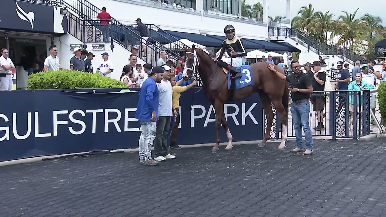 Gulfstream Park Replay Show | October 12, 2024