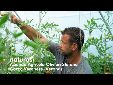 NaturaSì | Azienda Agricola Olivieri Stefano | Gazzo Veronese (Verona)