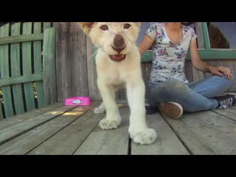 ZOO St- Edouard 2016