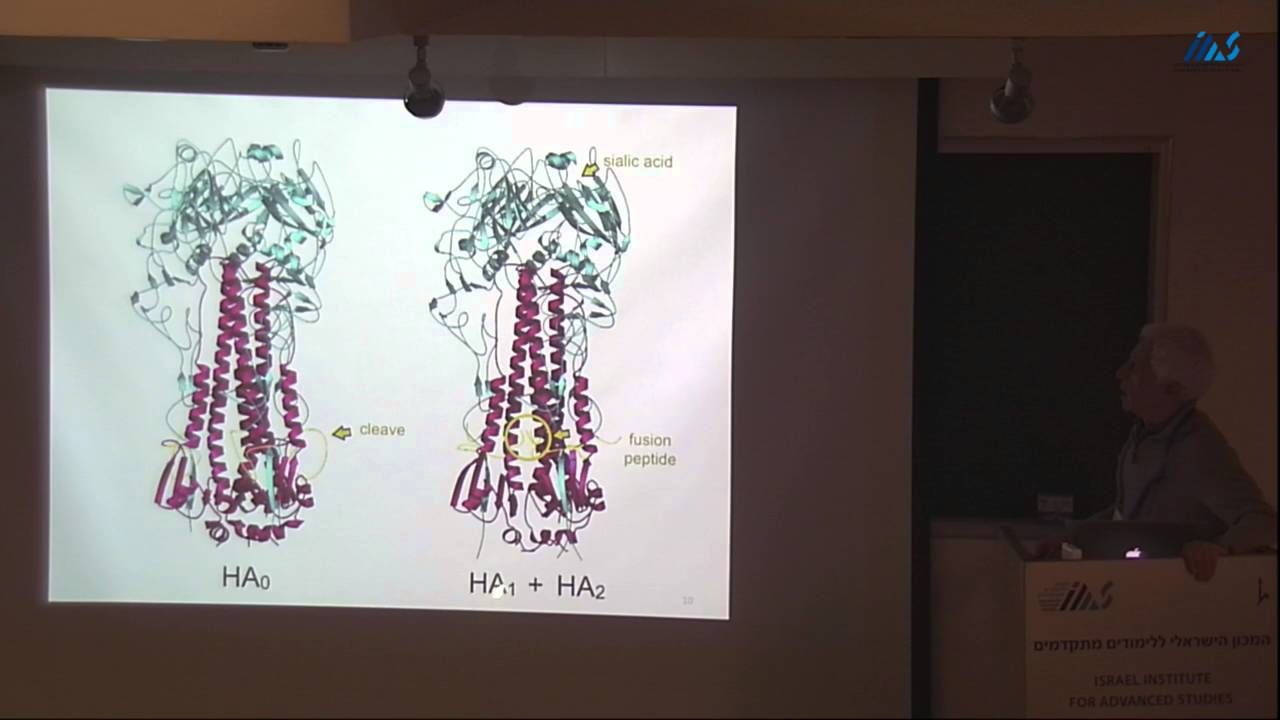 Stephen C. Harrison- Virus structure and the molecular mechanisms of viral cell entry
