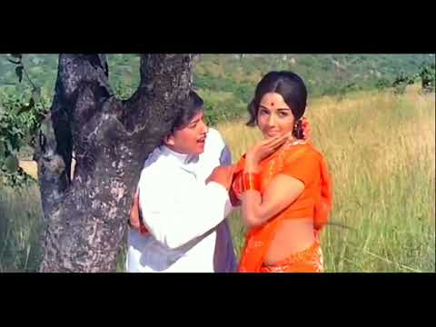 Baare Baare Chandada Cheluvina Taare   Naagara Haavu   Dr Vishnuvardhan  Aarathi720P HD