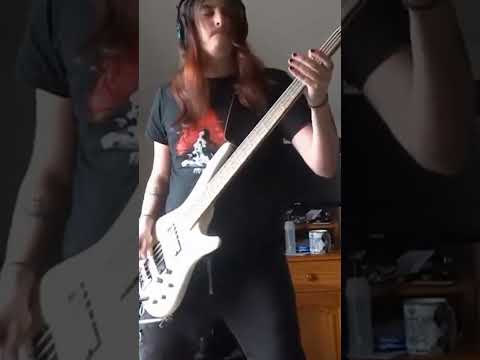 Thumbnail for Cradle Of Filth - The Foetus Of A New Day Kicking Bass quick cover (2019) #metal #bassist by Cradle of Filth