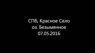 Безымянное озеро в красном селе рыбалка