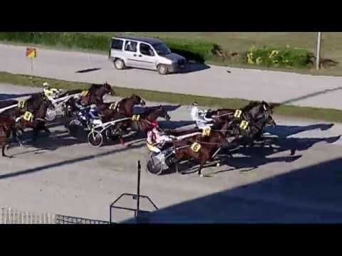 Aversa trotto 27 Maggio 2020 - 8° Corsa