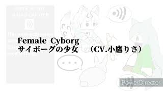 Video 2