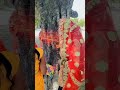 Viral Bar Puja Status Vat Savitri Puja Special Video Status Trending WhatsApp Shortvideo How