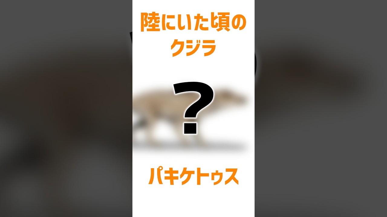 あまりにも似てないクジラの祖先 #クジラ #進化 #ゆっくり解説