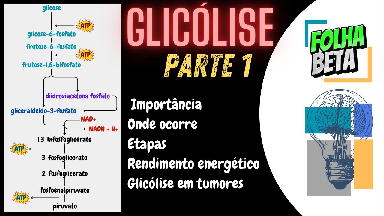 Glicólise Parte 1
