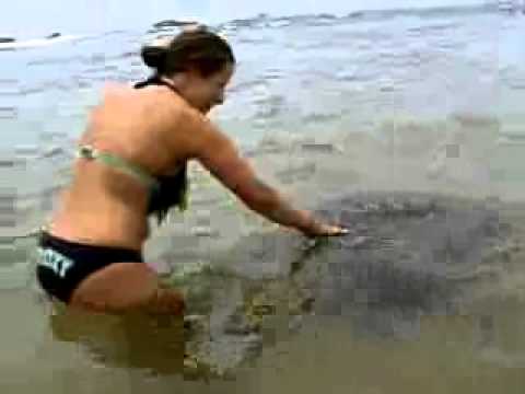 Sri Lanka Turles and Travel -sri lanka travel