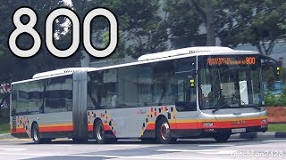 [SBST] SMB8006S on Service 800 - MAN NG363F A24 Gemilang (Part 1 of 2)