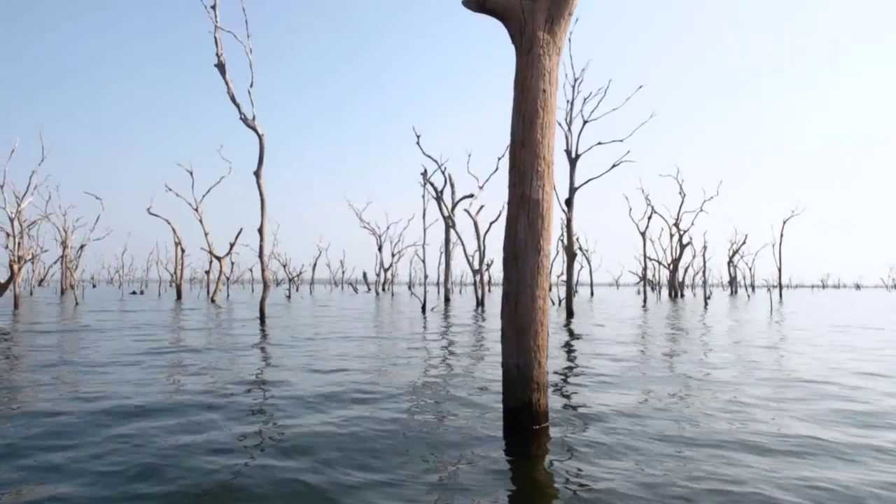 O desastre de Balbina