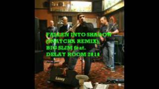 DELAY ROOM:FALLEN INTO SHADOW(SNATCHA REMIX)