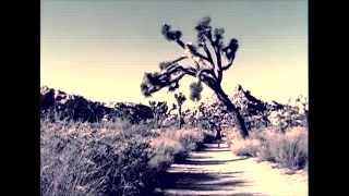 THE JEFFREY LEE PIERCE SESSIONS PROJECT - CONSTANT LIMBO (CONSTANT RAIN) | GLITTERHOUSE RECORDS