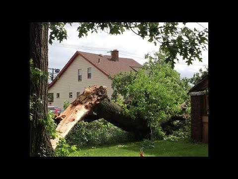 Tree takes down front porch at W. 128th and Triskett Road in Cleveland