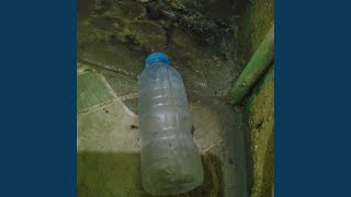 Download lagu Jangan dipikirin mp3