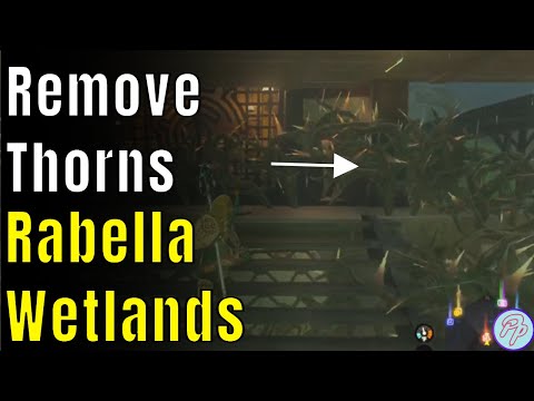 How To Clear The Thorns & Activate Rabella Wetlands Skyview Tower | Zelda Tears of the Kingdom