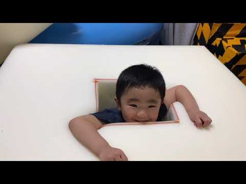 柿、柿、シャロンの違いは何ですか? 庭の練習