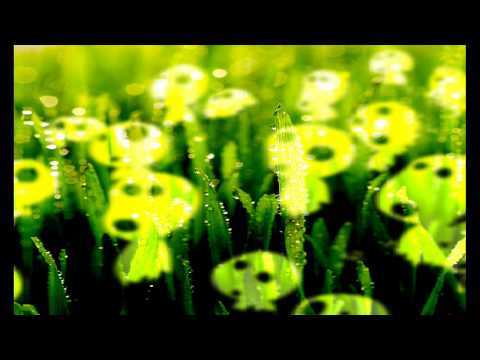 Reel People - Amazing (Ross D Remix)