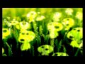Reel People - Amazing (Ross D Remix)