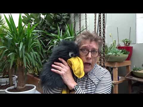 Positief blijven denken!