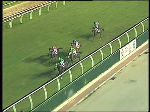 Galoppo 10/08/2016 - 5° corsa