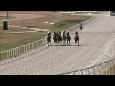 2021.09.11. 05. futam - KINCSEM+ - TÁPIÓSZENTMÁRTONI HENDIKEP (V.o.) (szintetikus pálya)