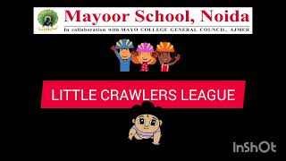 Crawling Critters Fun!