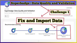 Fix and Import Data | Superbadge: Data Quality and Validation | Challe