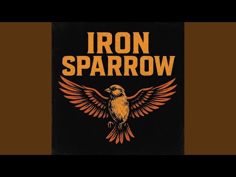 Break Through the Noise