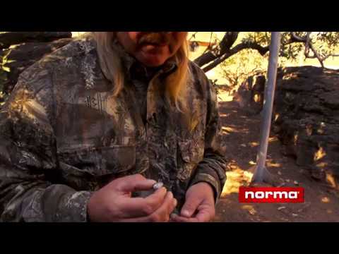 NORMA AMMUNITION?