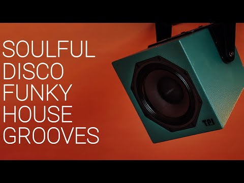 The Best Soulful Disco & Funky House Music Grooves | Ultimate 2025 Collection