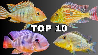 Top 10 Geophagus Fish Species (Best Sand Sifting Cichlids for Your Aquarium)