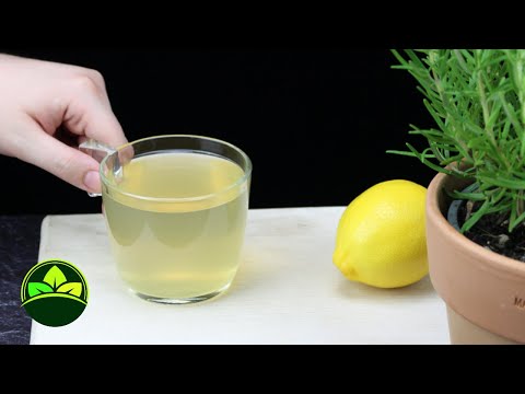 The Most Effective Way To Clear Your Lungs: Cough And Mucus Gone In 3 Days!