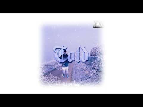 Loyal Boy - Cold (Official Visualiser)