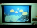 Barney Swimming Song