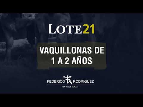 Rte 177 LOTE 21 - Lote 70 - 77 Vaquillonas 1 a 2 años.