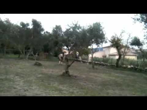 Itxaro is showing off!