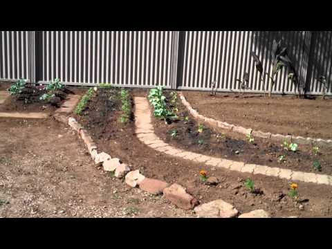 Veggie Patch 16-4-11