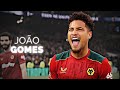 João Gomes - Complete Midfielder | 2024