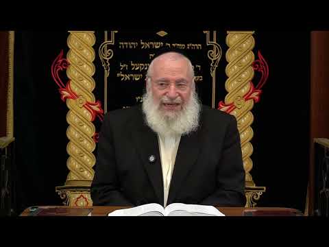 Short Thought for Parshas Lech Lecha | By Rav Asher Weiss Shlit"a (5786)