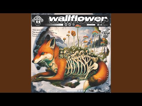 wallflower